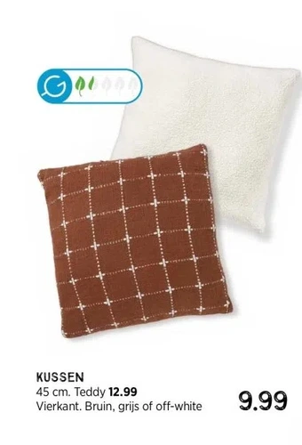 Xenos Kussen aanbieding