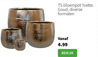 Intratuin TS bloempot Yvette. Goud, diverse formaten aanbieding