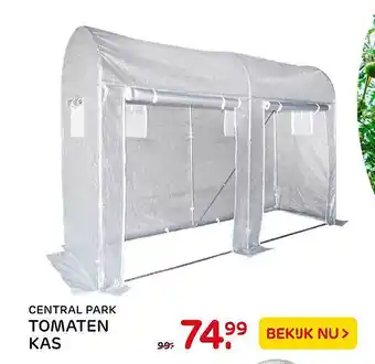 Praxis Central Park Tomaten Kas aanbieding