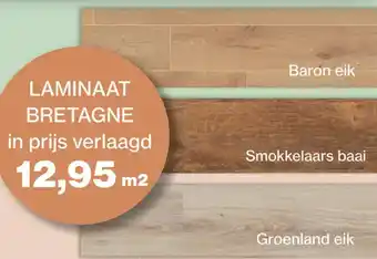 Roobol Laminaat bretagne in prijs verlaagd aanbieding