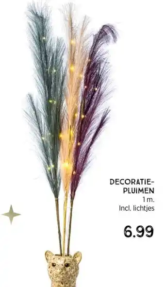 Xenos DECORATIE PLUIMEN 1m inch lichtjes aanbieding