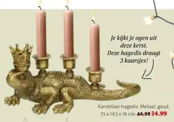 Intratuin Kandelaar hagedis. aanbieding