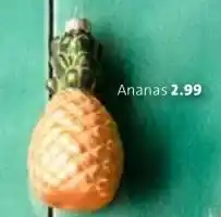 Intratuin Ananas aanbieding