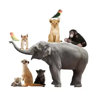 Babypark Kek amsterdam safari friends muursticker set elephant xl aanbieding