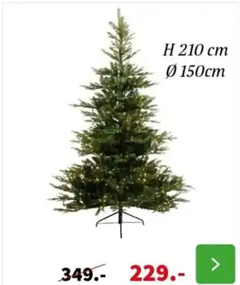 Intratuin Everlands Grandis Fir+ verlichting H 210 cm Ø150cm aanbieding