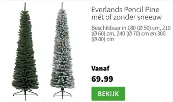 Intratuin Everlands Pencil Pine mét of zonder sneeuw aanbieding