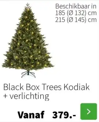 Intratuin Black Box Trees Kodiak + verlichting aanbieding