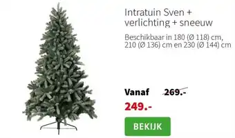 Intratuin Intratuin Sven + verlichting + sneeuw aanbieding