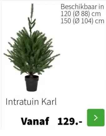 Intratuin Intratuin Karl aanbieding