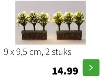 Intratuin GROENE MUREN 9x 9,5 cm, 2 stuks aanbieding