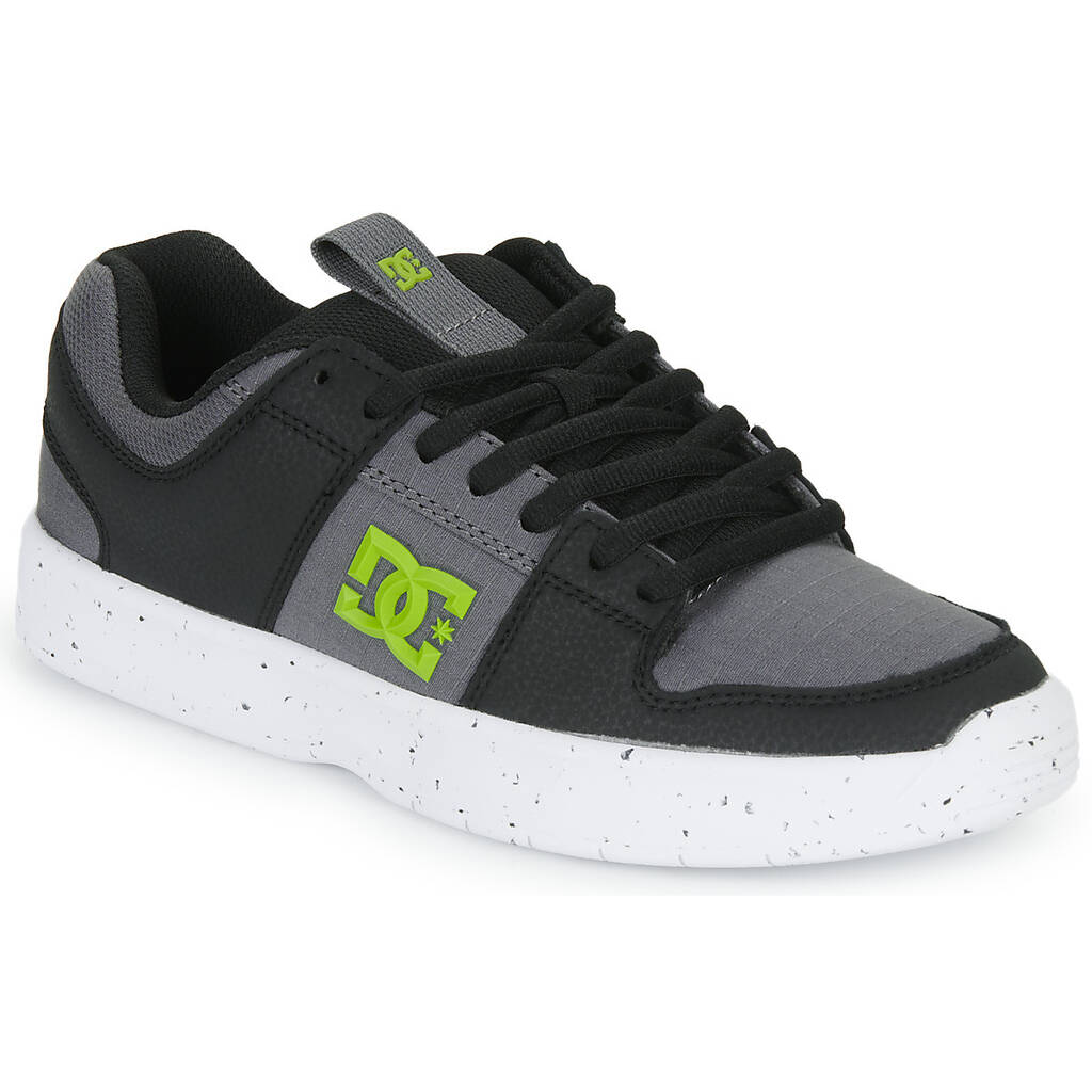 spartoo dc shoes