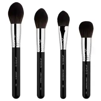 Douglas Sigma studio brush set aanbieding