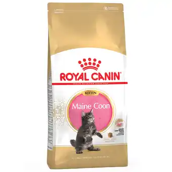 Zooplus 2x10kg maine coon kitten royal canin breed kattenvoer aanbieding