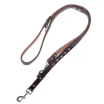 Zooplus Heim set: hondenriem stars 2 m + leren halsband stars maat 60 aanbieding