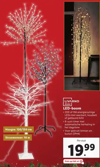 Lidl LIVARNO home LED-boom aanbieding