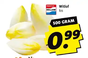 Boni Witlof 500 GRAM aanbieding