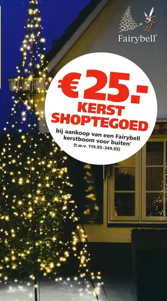 Ranzijn Kerstboom fairybell aanbieding