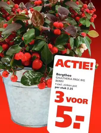 Ranzijn Bergthee aanbieding