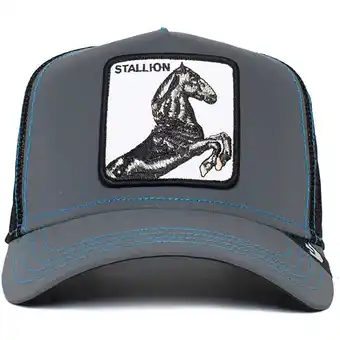 Spartoo Hoed goorin bros stallion nights aanbieding