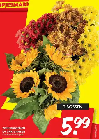 Dekamarkt Zonnebloemen Of Chrysanten aanbieding