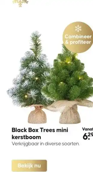 Boerenbond Black box trees mini kerstboom aanbieding