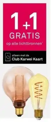 Karwei 1+1 gratis op alle lichtbronnen aanbieding