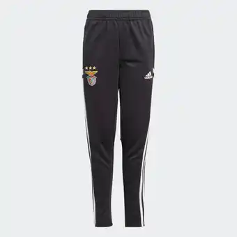 Adidas Adidas benfica condivo training broek aanbieding