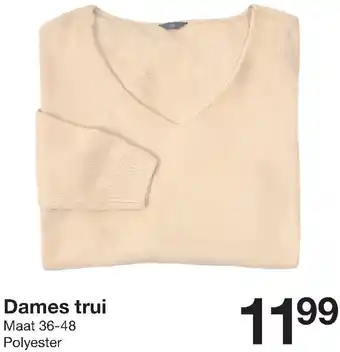 Zeeman Dames trui aanbieding