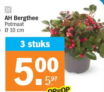 Albert Heijn AH Bergthee aanbieding