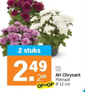 Albert Heijn AH Chrysant aanbieding