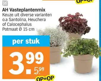 Albert Heijn AH Vasteplantenmix aanbieding