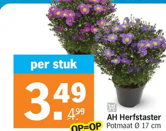 Albert Heijn AH Herfstaster 11 aanbieding