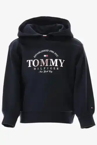 Bergmansoutlet Tommy hilfiger hoodie aanbieding