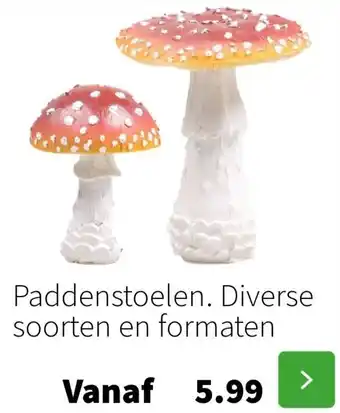 Intratuin Paddenstoelen aanbieding