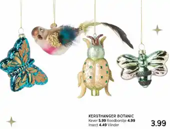 Xenos KERSTHANGER BOTANIC aanbieding