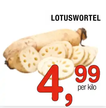 Amazing Oriëntal Lotuswortel aanbieding