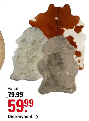 Karwei Dierenvacht aanbieding