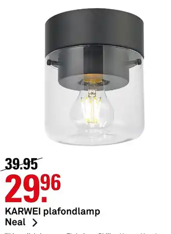 Karwei Plafondlamp Neal aanbieding