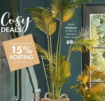 Casa KWAI Palmboom aanbieding