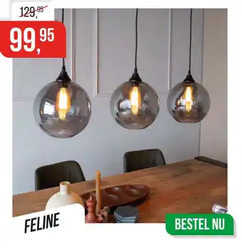 Dimehouse Feline aanbieding