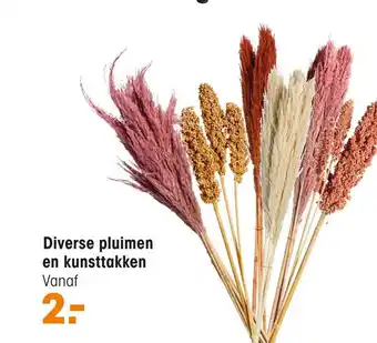 Kwantum Diverse pluimen en kunsttakken aanbieding