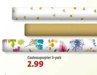 Bruna Cadeaupapier 3-Pak aanbieding