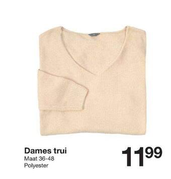 Zeeman Dames Trui aanbieding