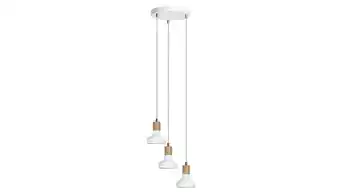 NADUVI Rabalux 3-lichts hanglamp holly aanbieding