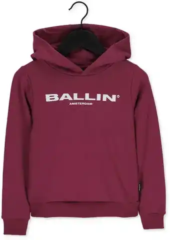 Omoda Ballin amsterdam ballin jongens truien & vesten 22037321 - roze aanbieding