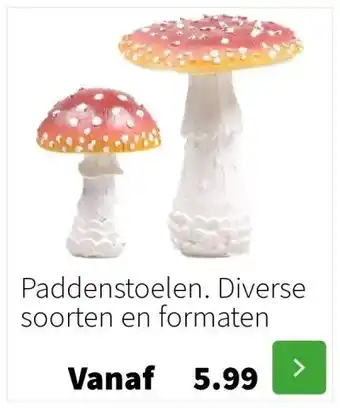 Intratuin Paddenstoelen. diverse soorten en formaten aanbieding