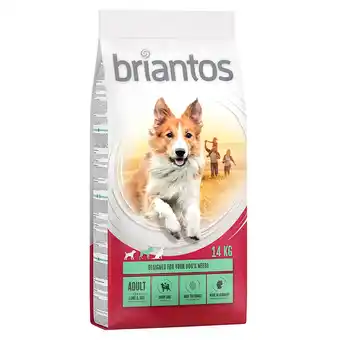 Zooplus Extra voordelig! briantos hondenvoer - adult lam & rijst - 14 kg aanbieding