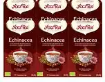 De Online Drogist Yogi tea echinacea voordeelverpakking 6x17st aanbieding