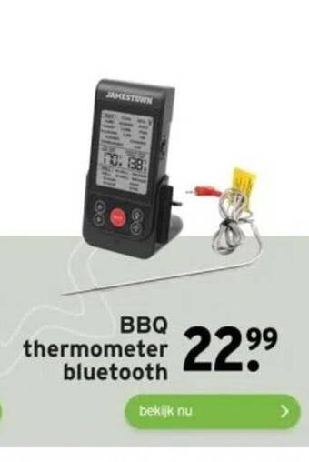 GAMMA BBQ thermometer accessoires aanbieding