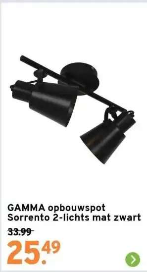 GAMMA Gamma opbouwspot sorrento 2-lichts mat zwart aanbieding